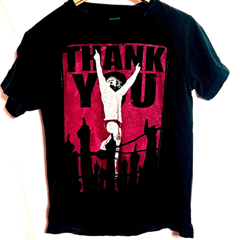 Vintage wrestling tee WWE